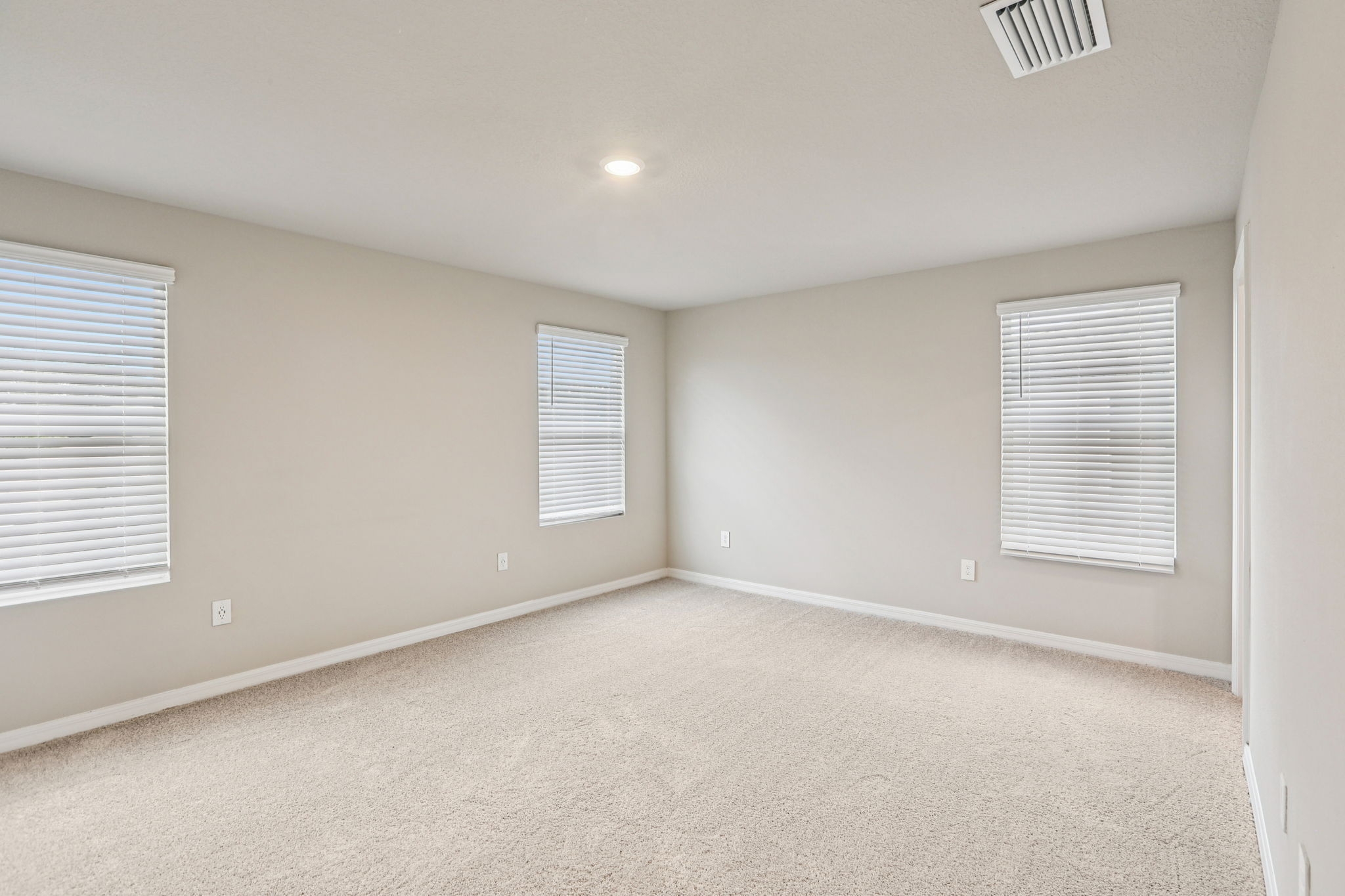 8649C Cypress Leaf Pl-014