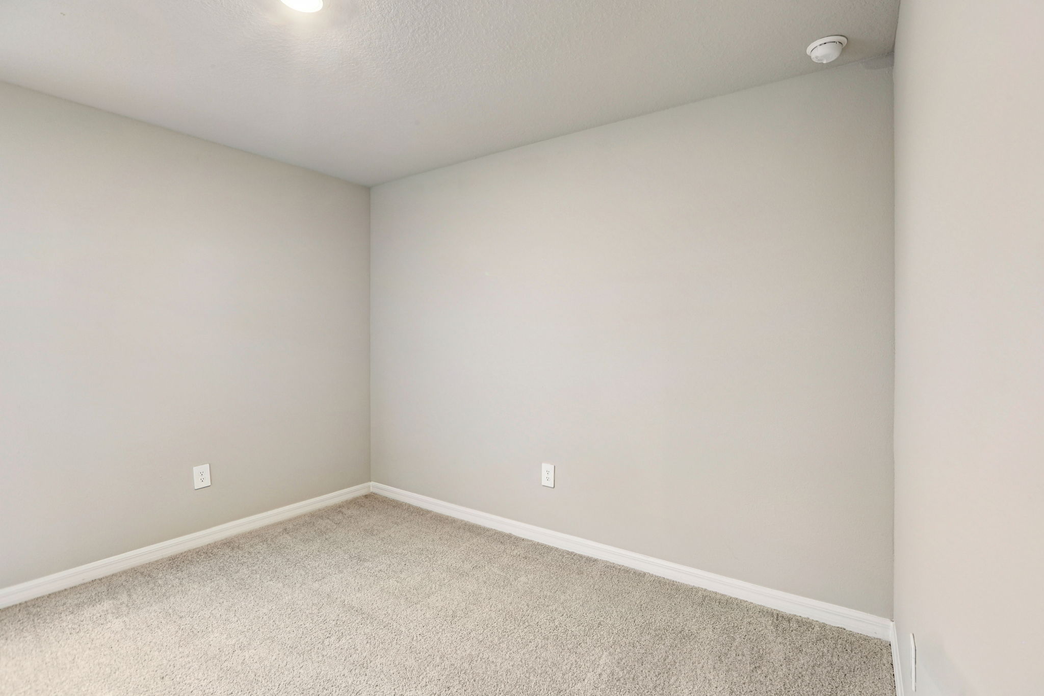 8649C Cypress Leaf Pl-018