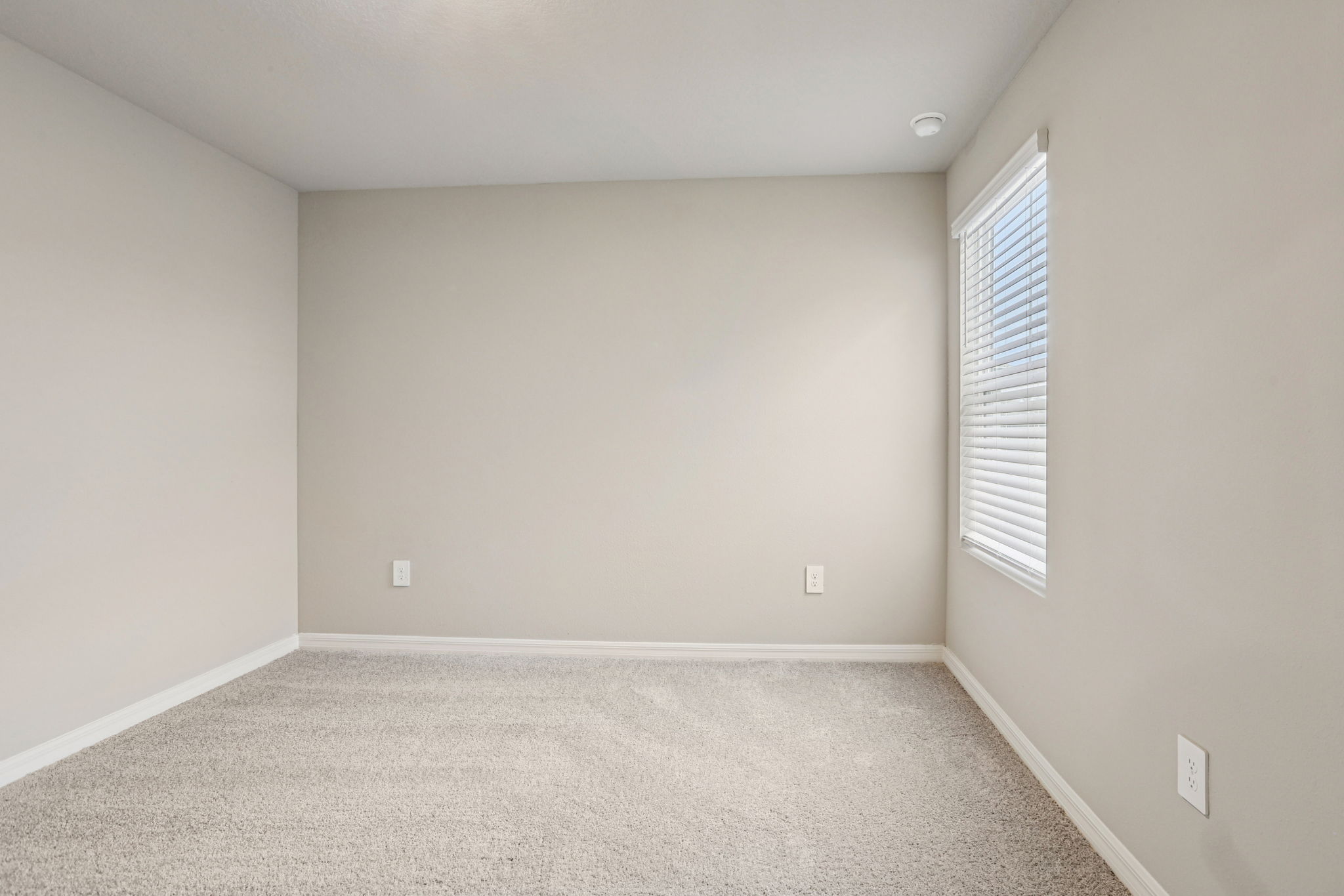 8649C Cypress Leaf Pl-022