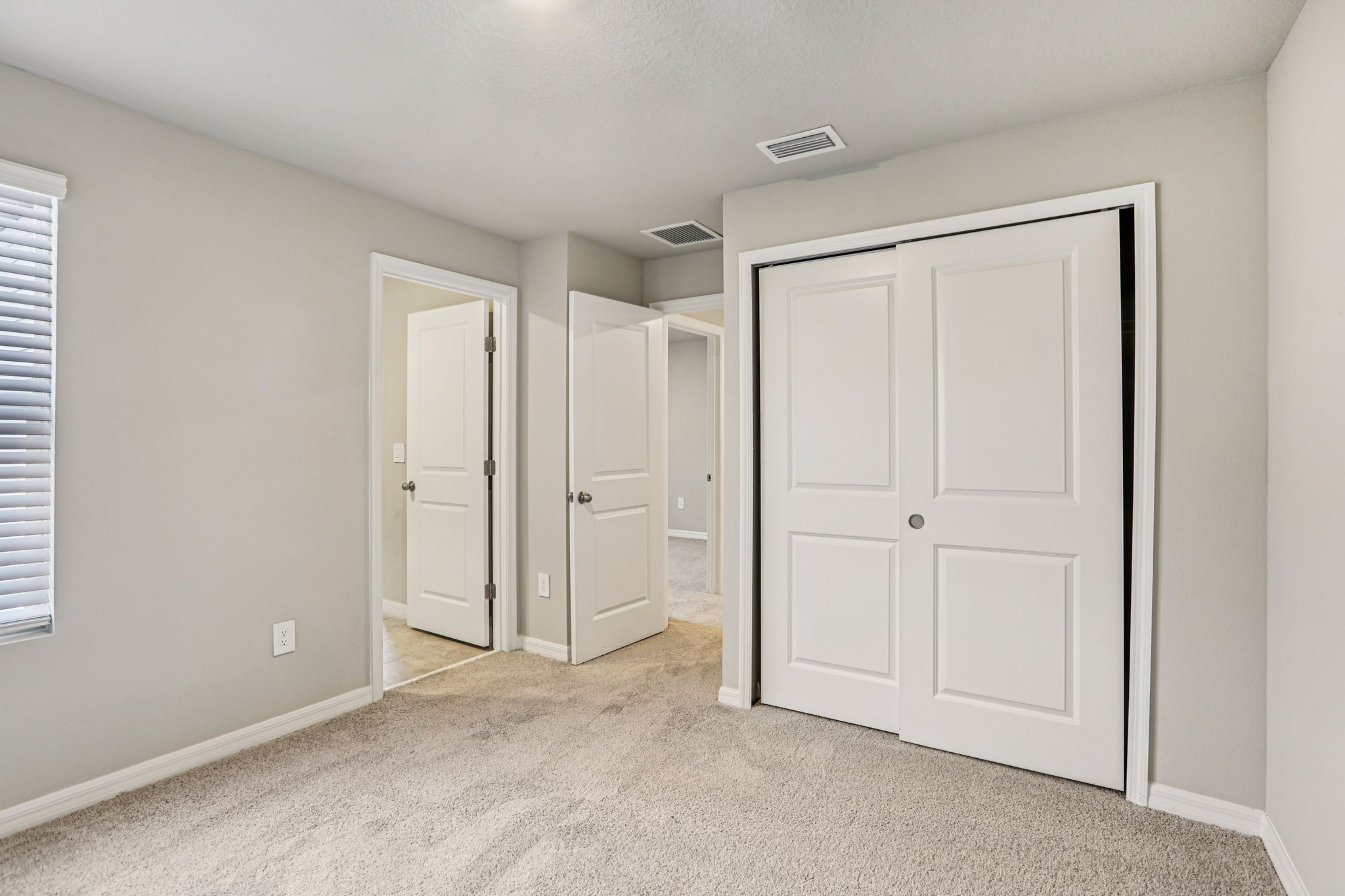 8649C Cypress Leaf Pl-023