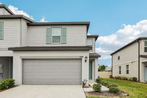 8649C Cypress Leaf Pl-001