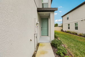 8649C Cypress Leaf Pl-004