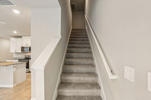 8649C Cypress Leaf Pl-013