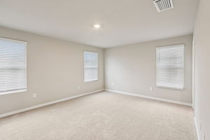 8649C Cypress Leaf Pl-014