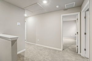 8649C Cypress Leaf Pl-017