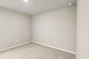 8649C Cypress Leaf Pl-018