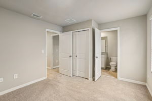 8649C Cypress Leaf Pl-019