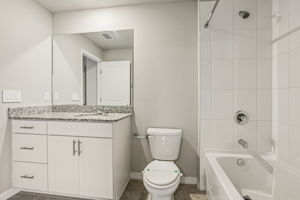 8649C Cypress Leaf Pl-020