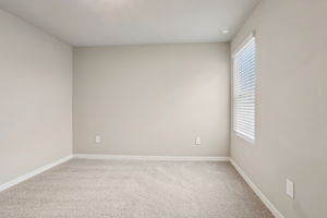 8649C Cypress Leaf Pl-022