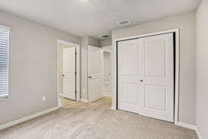 8649C Cypress Leaf Pl-023