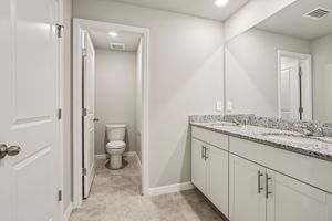 8649C Cypress Leaf Pl-026