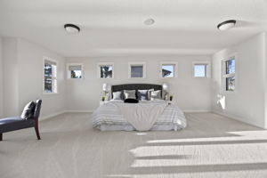  Photo 50