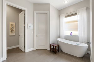 Primary Bathroom (3)