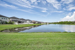 Backyard3