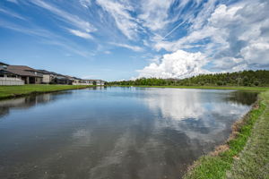 Water View1