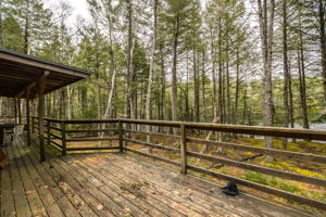  Photo 62