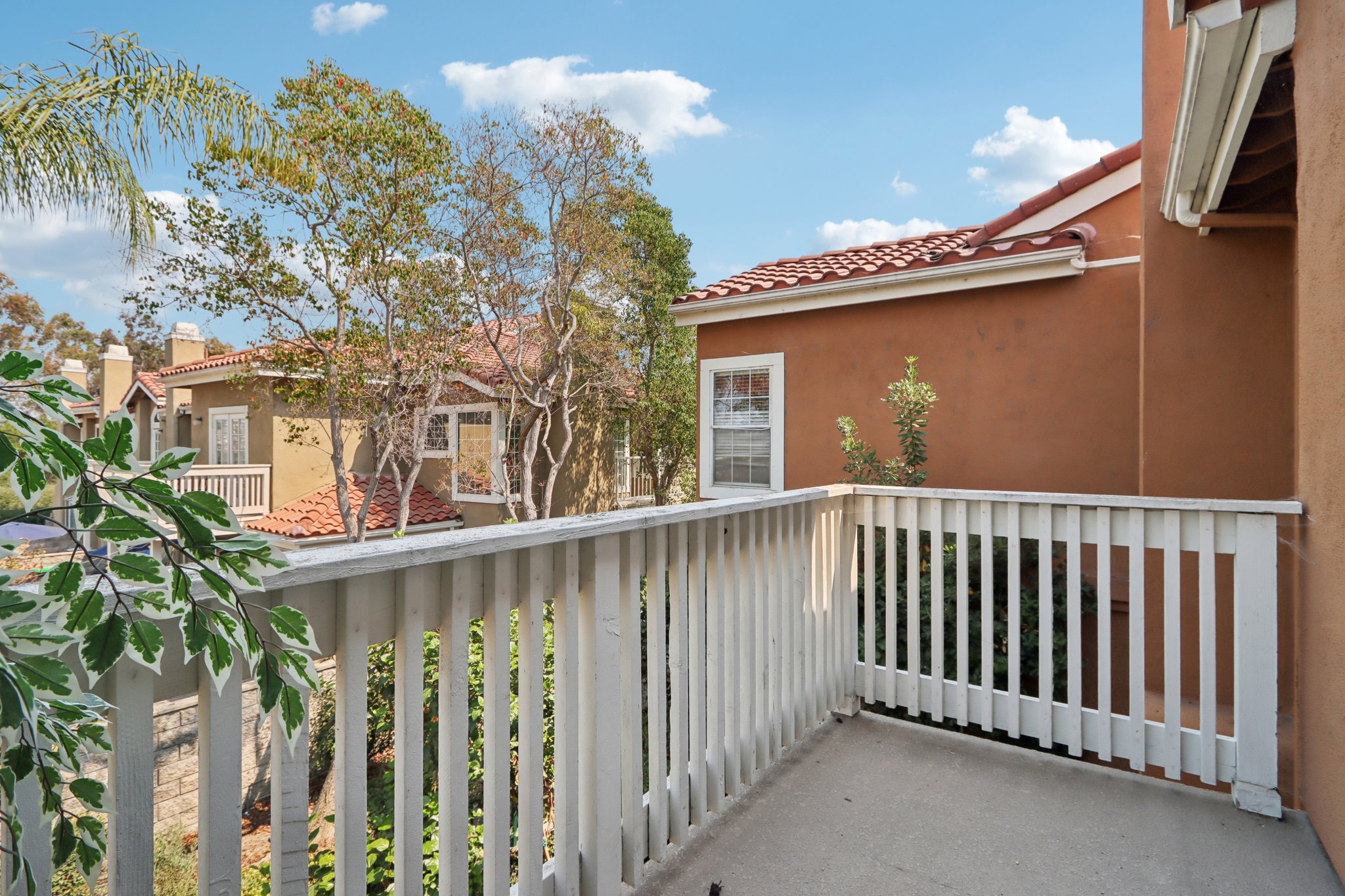 Matisse Cir-S0608-032.jpg