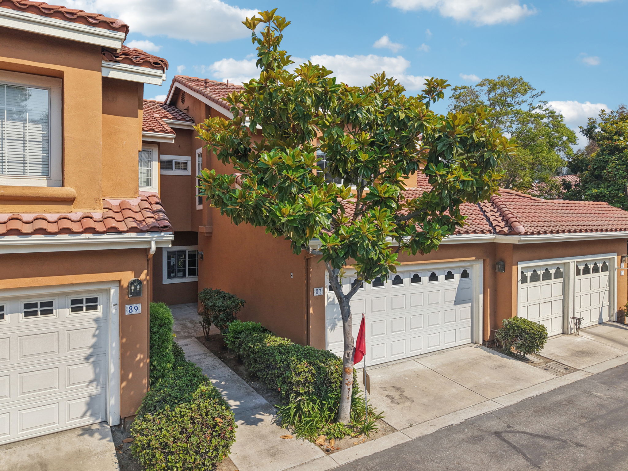 Matisse Cir-0608-904