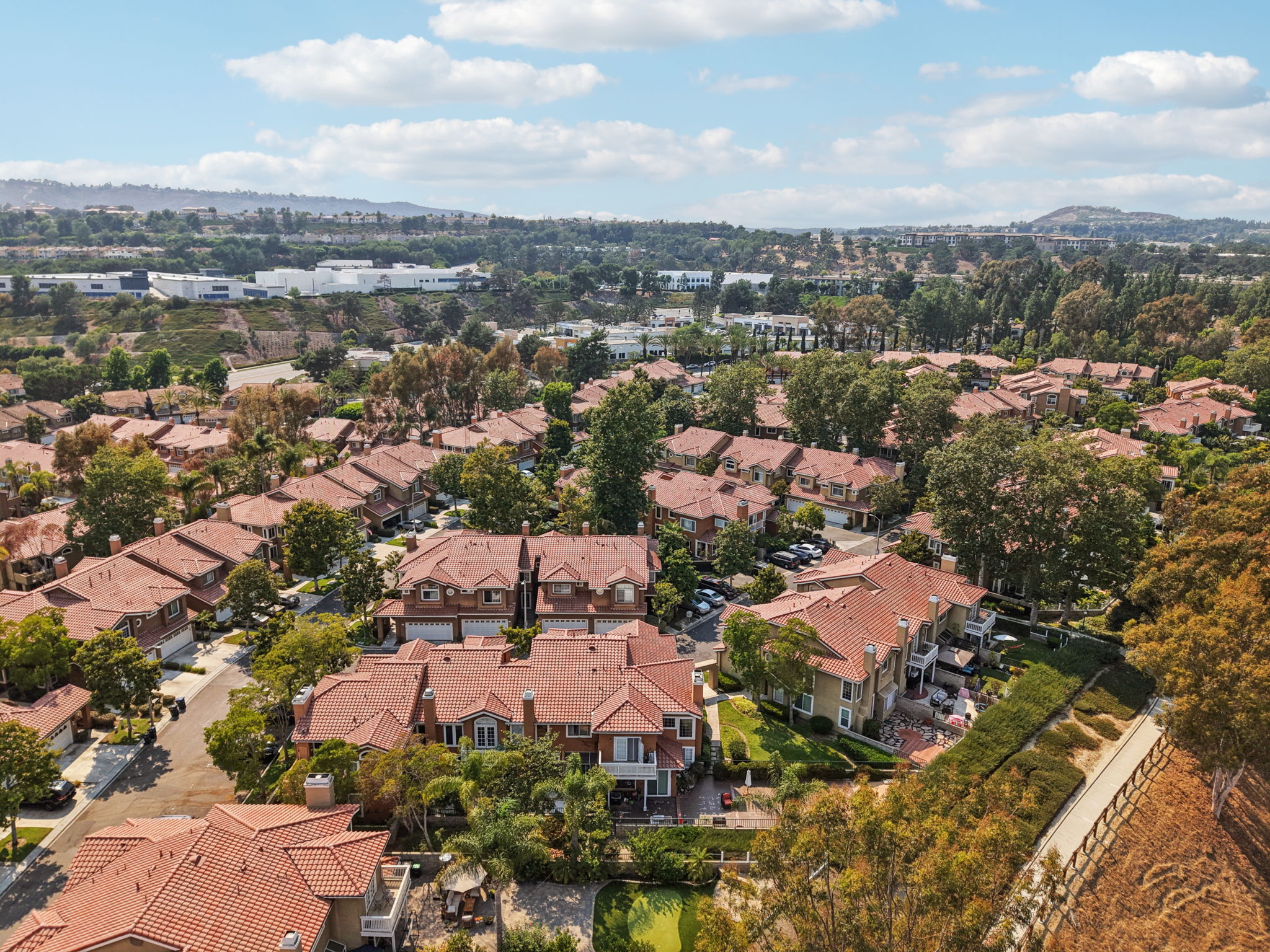 Matisse Cir-0608-907
