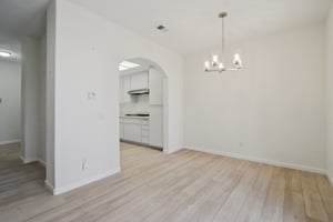 Matisse Cir-S0608-013.jpg