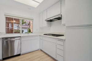 Matisse Cir-S0608-019.jpg