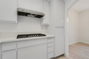 Matisse Cir-S0608-021.jpg