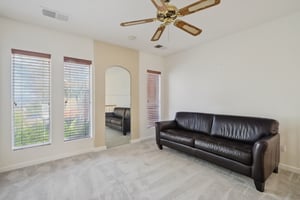 Matisse Cir-S0608-025.jpg
