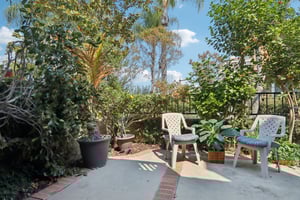 Matisse Cir-S0608-035.jpg