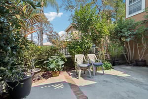 Matisse Cir-S0608-036.jpg