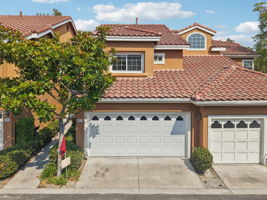 Matisse Cir-0608-902