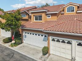 Matisse Cir-0608-903