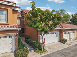 Matisse Cir-0608-904