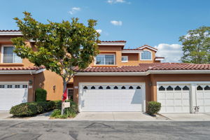 Matisse Cir-S0608-003