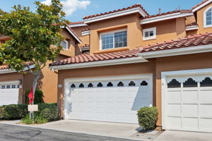 Matisse Cir-S0608-004