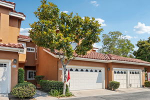 Matisse Cir-S0608-001