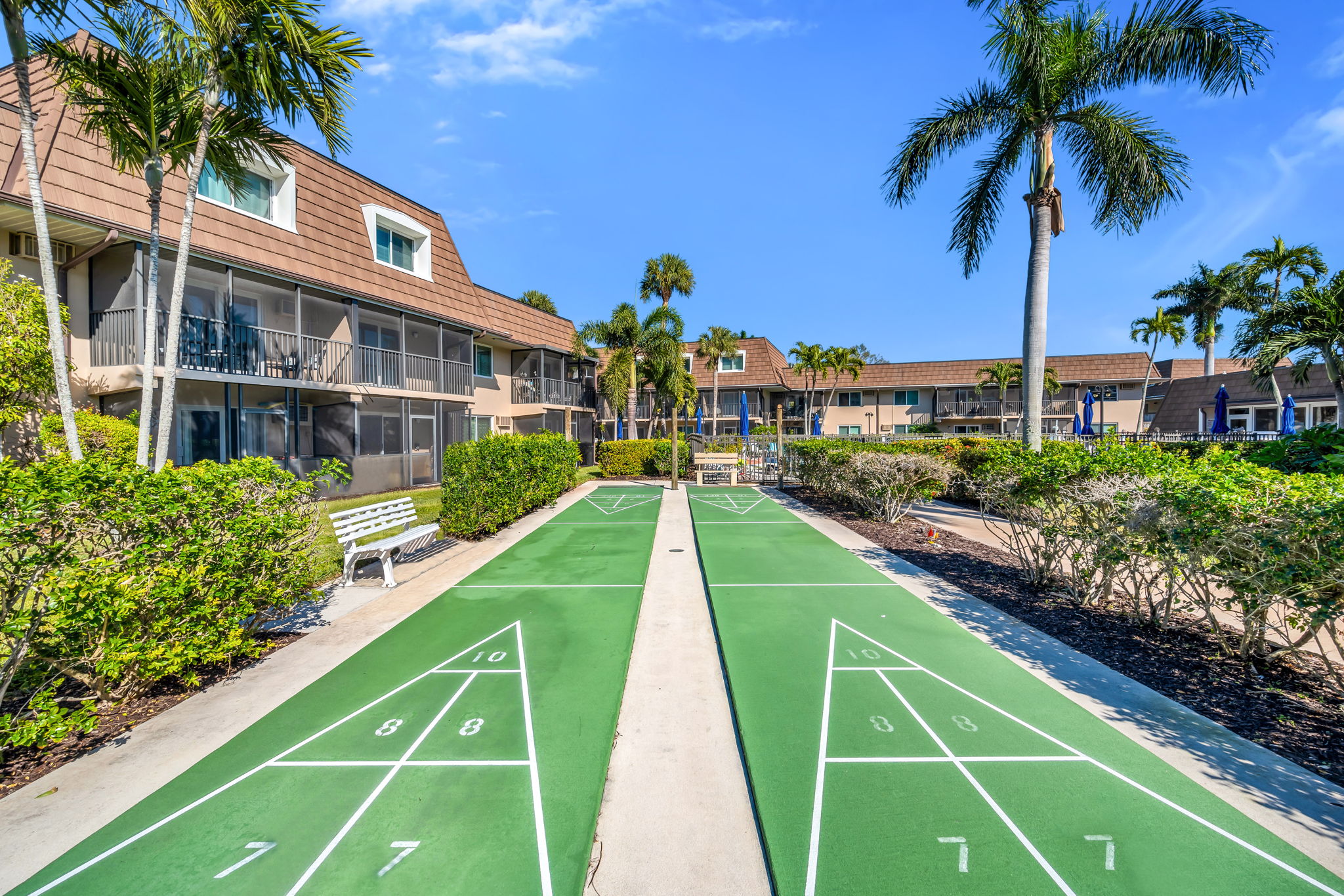 Shuffle Board View 2