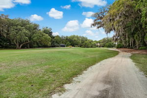 Golf Course View