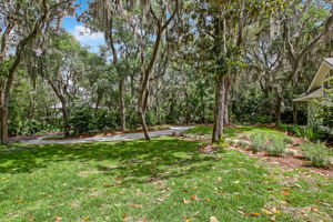 Circle Driveway