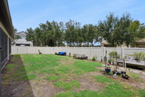  Photo 67