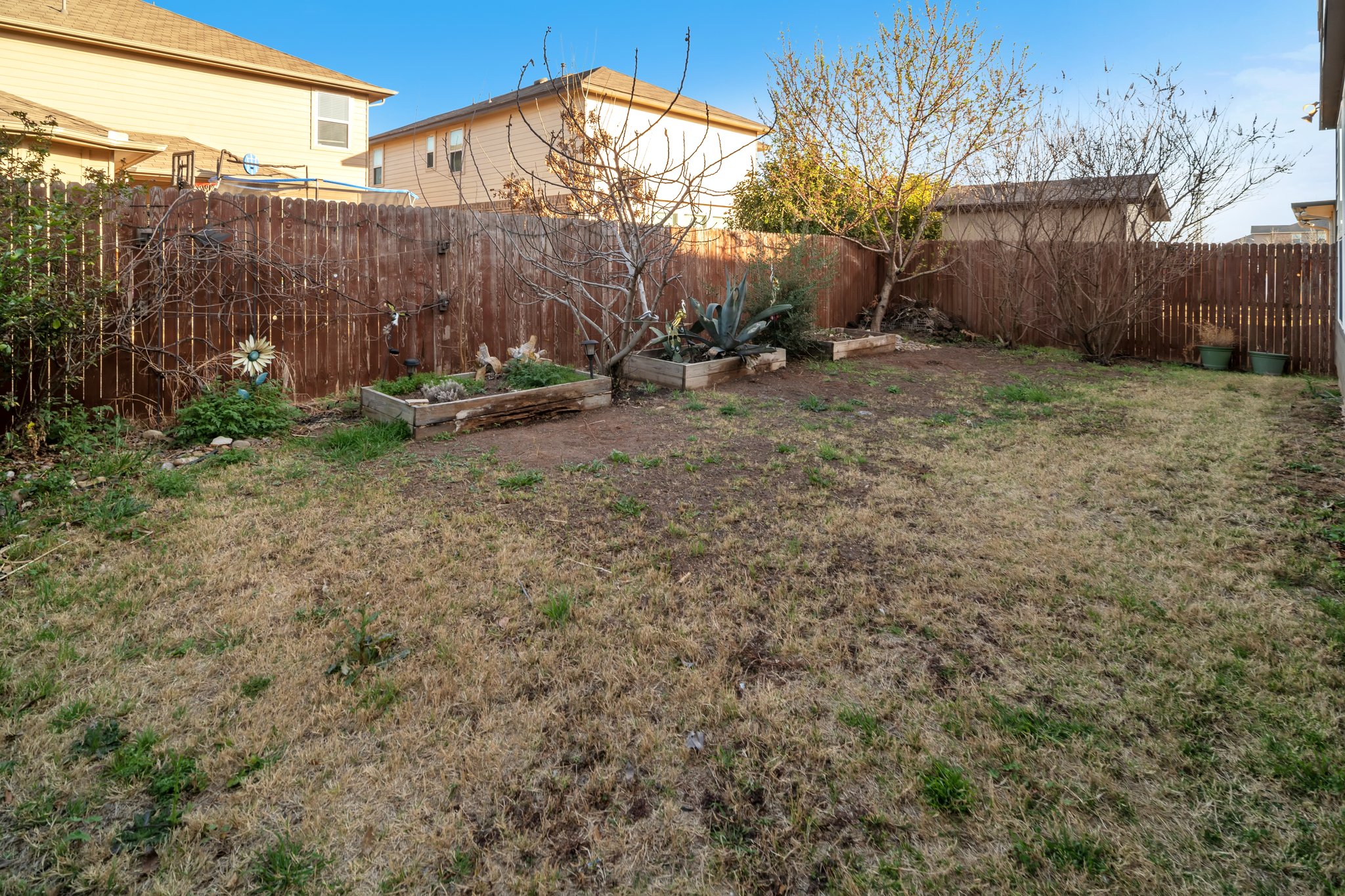 Backyard