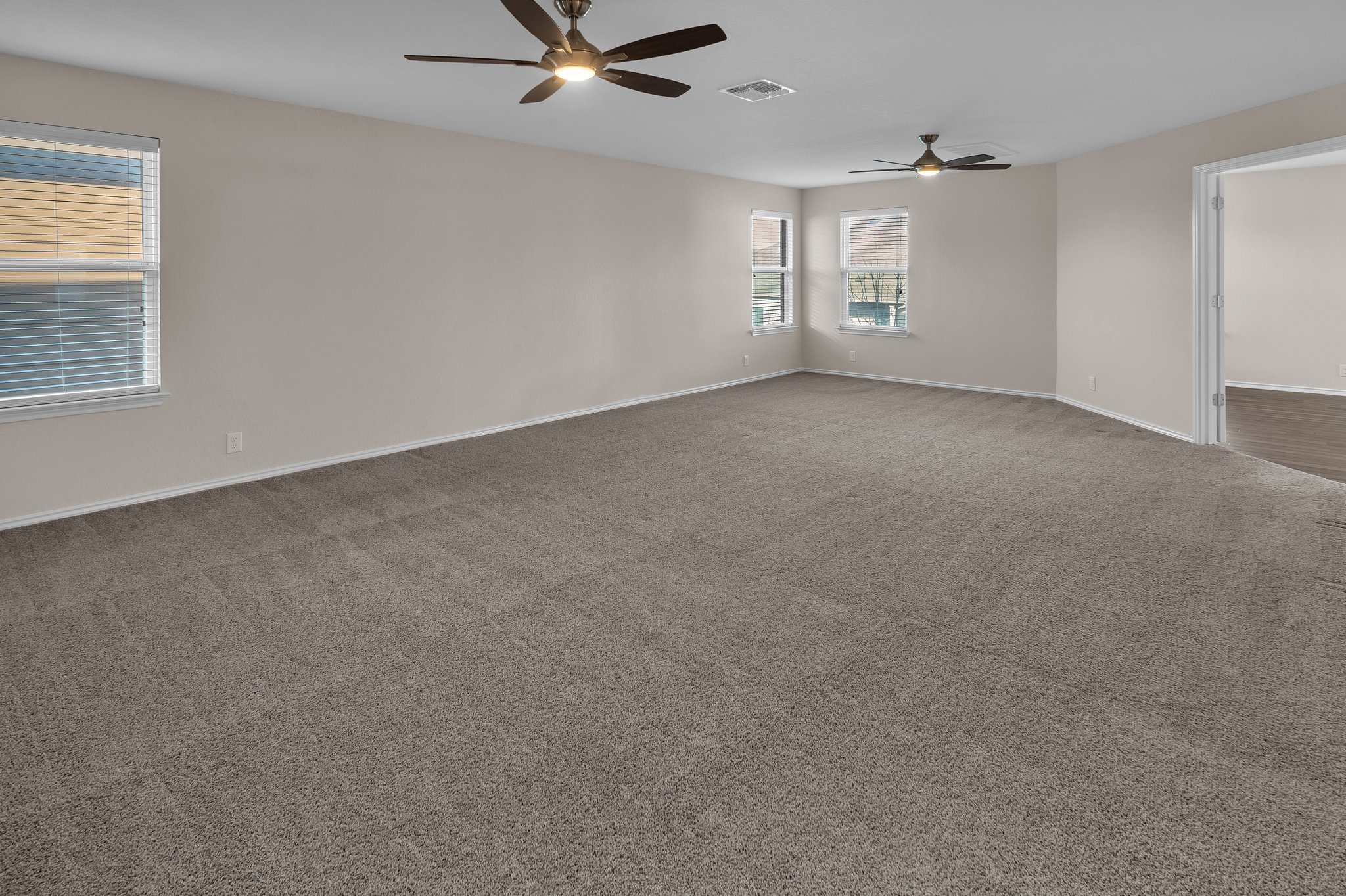 Flex Room