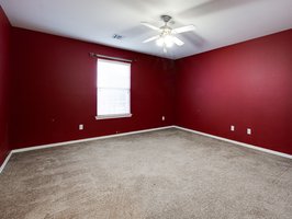  Photo 49
