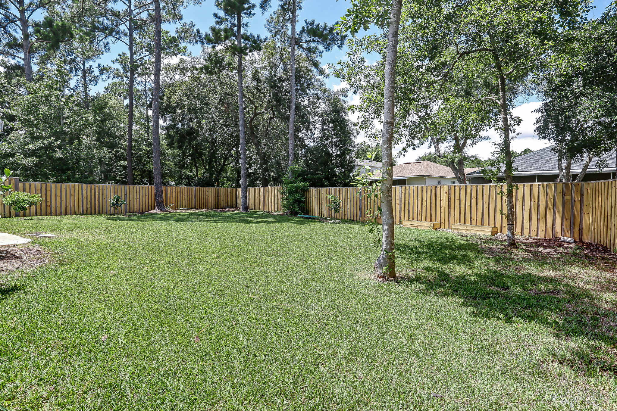 Backyard