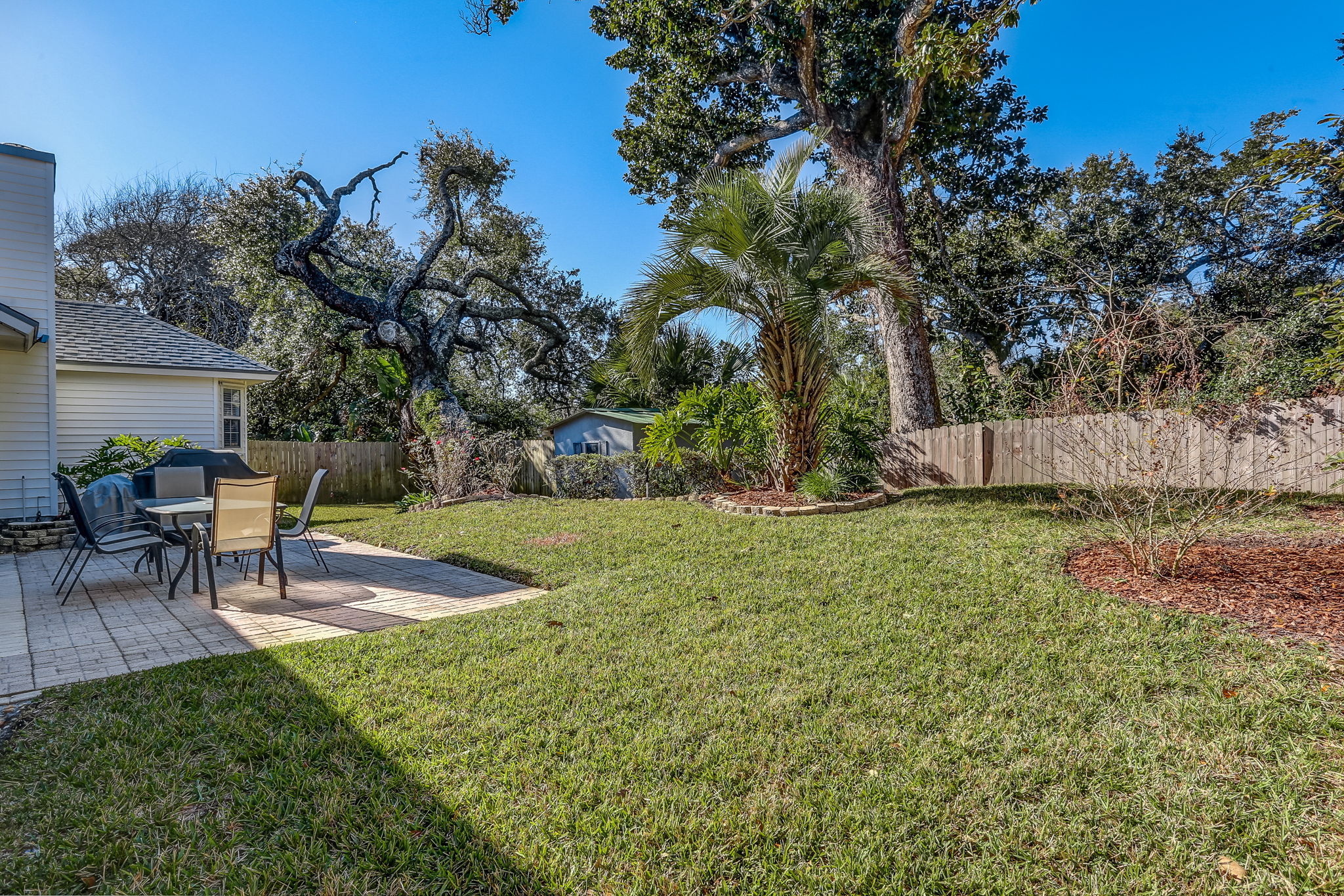 Back Yard