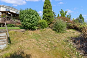  Photo 39