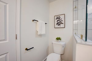 Chelsey Ct-035