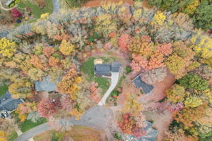 Chelsey Ct-054