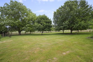  Photo 39