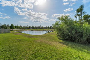 Backyard1