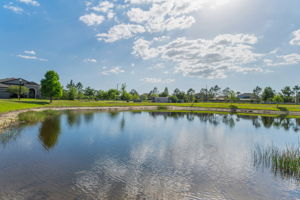 Backyard4 Water View